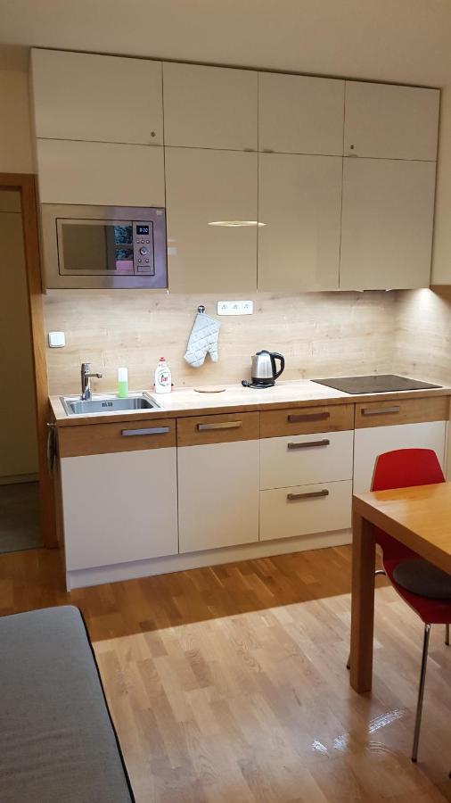Rokytka Apartman 217 Рокицани Экстерьер фото